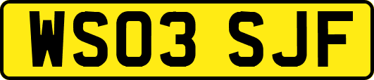 WS03SJF