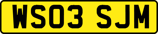 WS03SJM