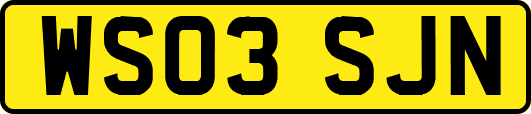WS03SJN