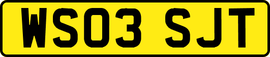 WS03SJT