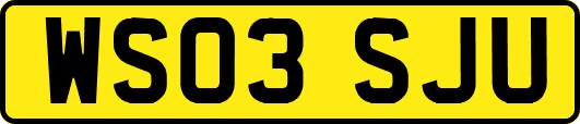 WS03SJU