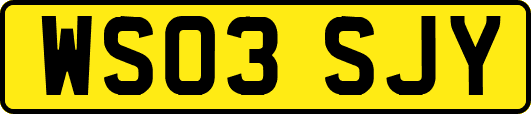 WS03SJY