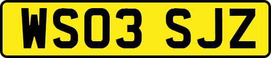 WS03SJZ