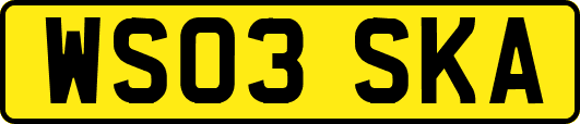 WS03SKA