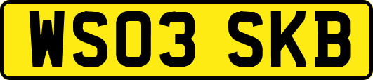 WS03SKB