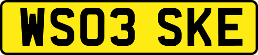 WS03SKE