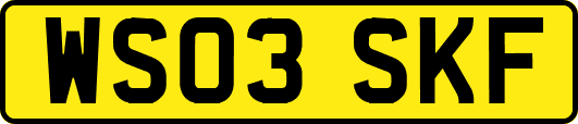 WS03SKF