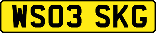 WS03SKG