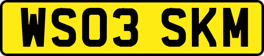 WS03SKM