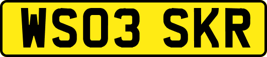WS03SKR