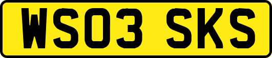 WS03SKS