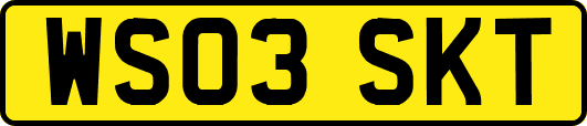 WS03SKT