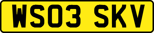 WS03SKV