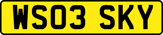 WS03SKY
