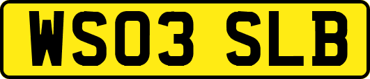 WS03SLB