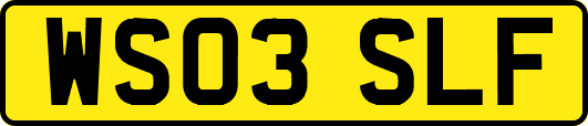 WS03SLF
