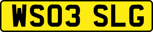 WS03SLG