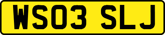 WS03SLJ