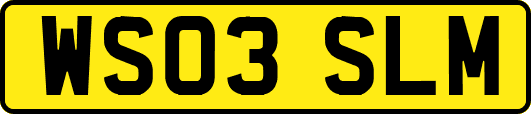 WS03SLM