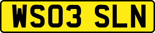 WS03SLN