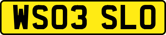 WS03SLO