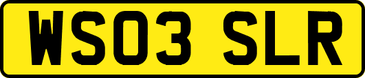 WS03SLR