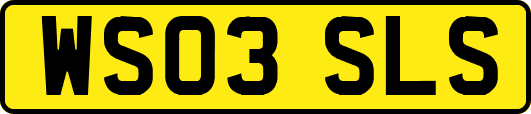 WS03SLS