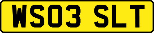 WS03SLT