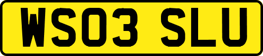 WS03SLU