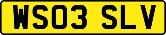 WS03SLV