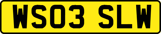 WS03SLW