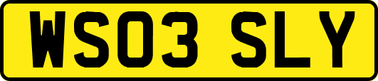 WS03SLY
