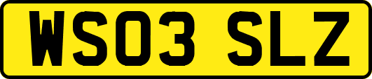 WS03SLZ