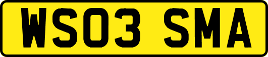 WS03SMA