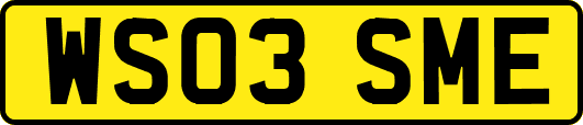 WS03SME