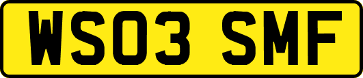 WS03SMF