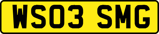 WS03SMG