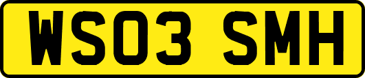 WS03SMH