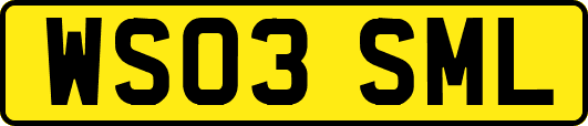 WS03SML