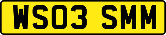 WS03SMM