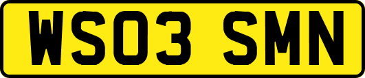 WS03SMN