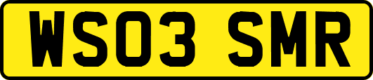 WS03SMR