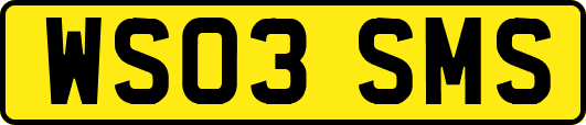 WS03SMS