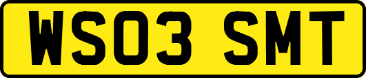 WS03SMT