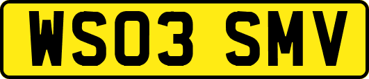 WS03SMV