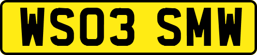 WS03SMW