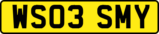 WS03SMY