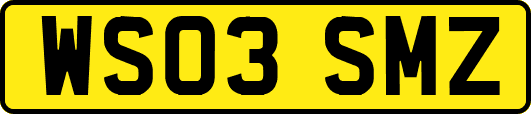WS03SMZ