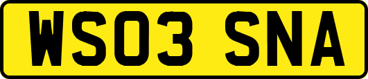 WS03SNA