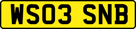WS03SNB
